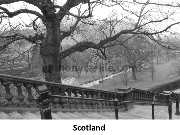 Anthony Carlile_14.jpg